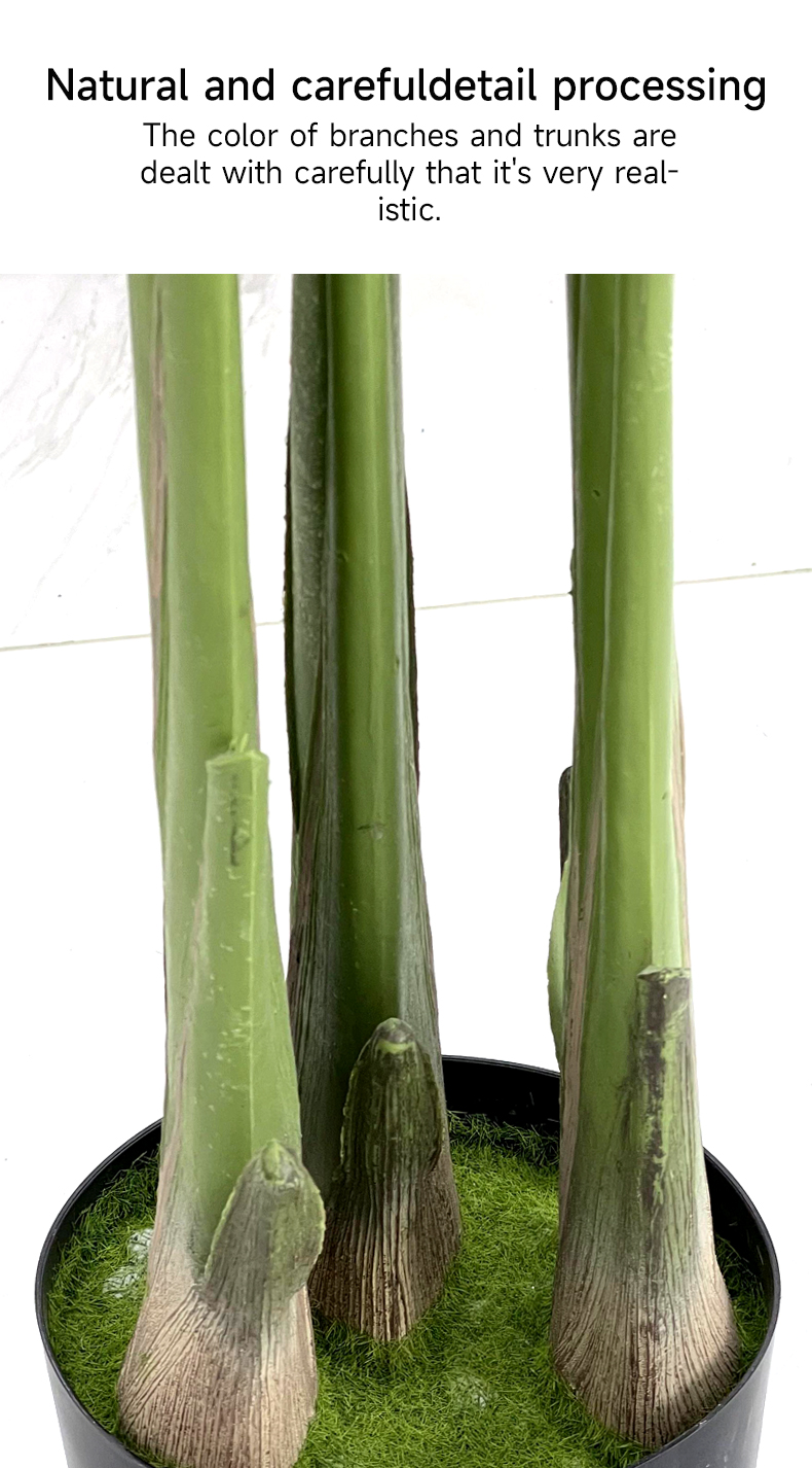 xingqing-3