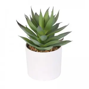 6.7” Height Potted Textured Artificial Succulents Bonsai Faux Cactus Aloe Premium Synthetic Succulents Plant With Pot