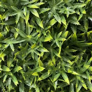 Garden Privacy Screen,Wall Greenery Backdrop Decor Faux Fence Mat,Adjustable for Courtyard
