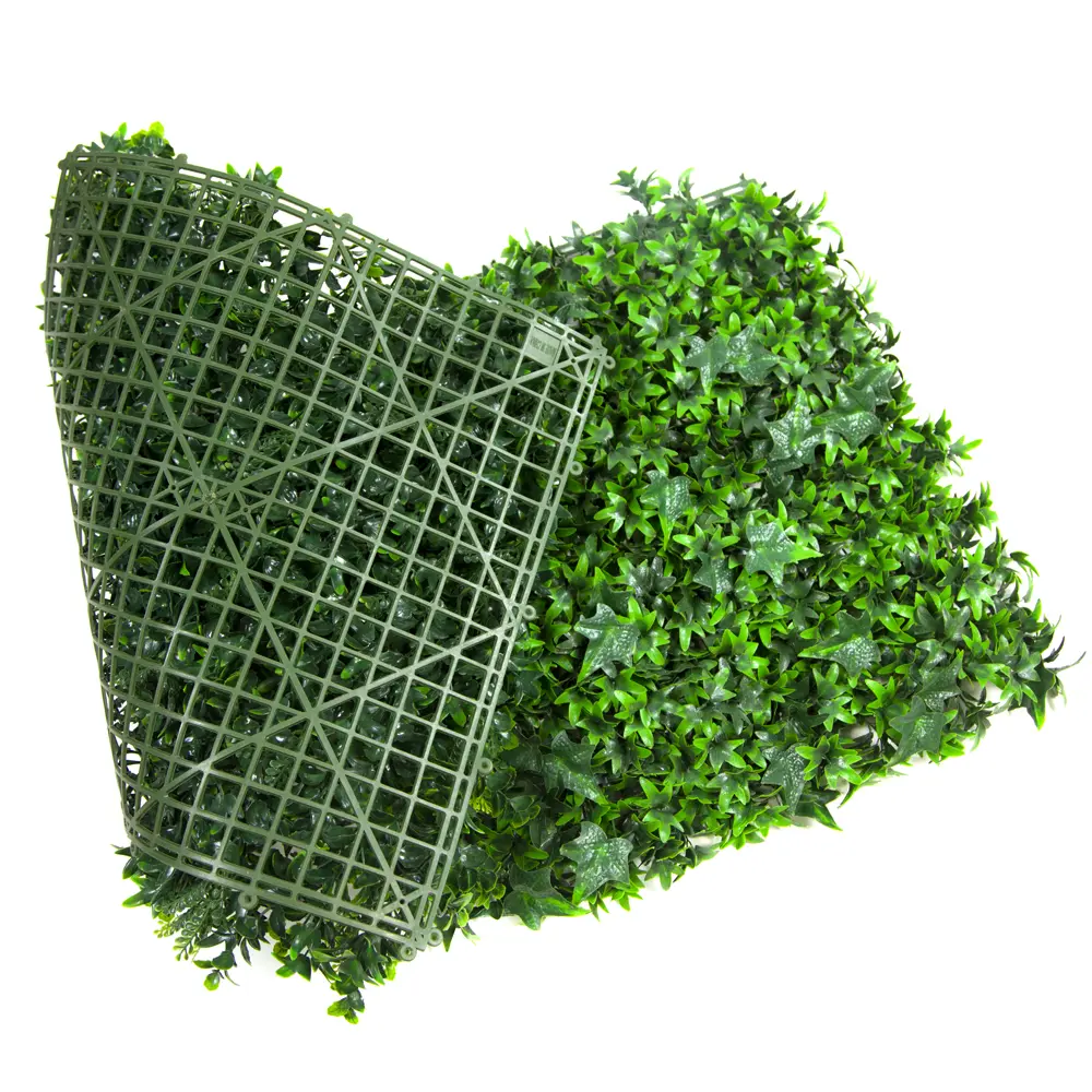 Sweet-Potato-Leaves-1
