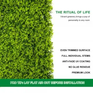 WHDY Customized artificial green wall panel boxwood foliage 50*50cm DIY for indoor outdoor decoration